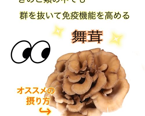 E7FF6185-1091-4868-B3B4-A3831DE26E75