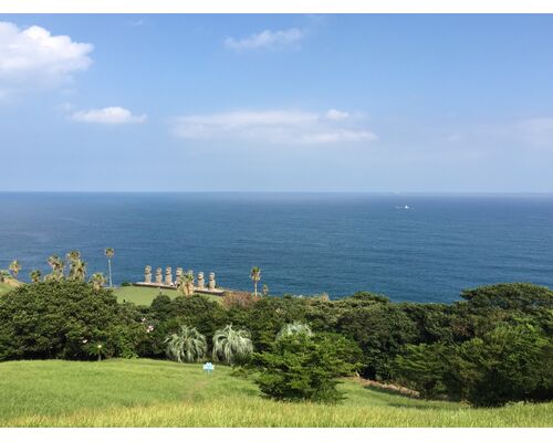 35A34AF2-EE10-4417-BD20-FB83379B5585