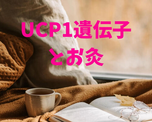 UCP1to