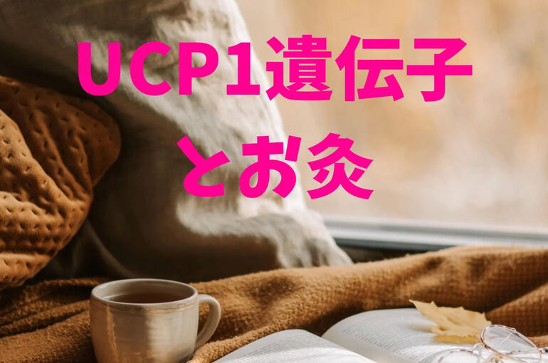 UCP1to